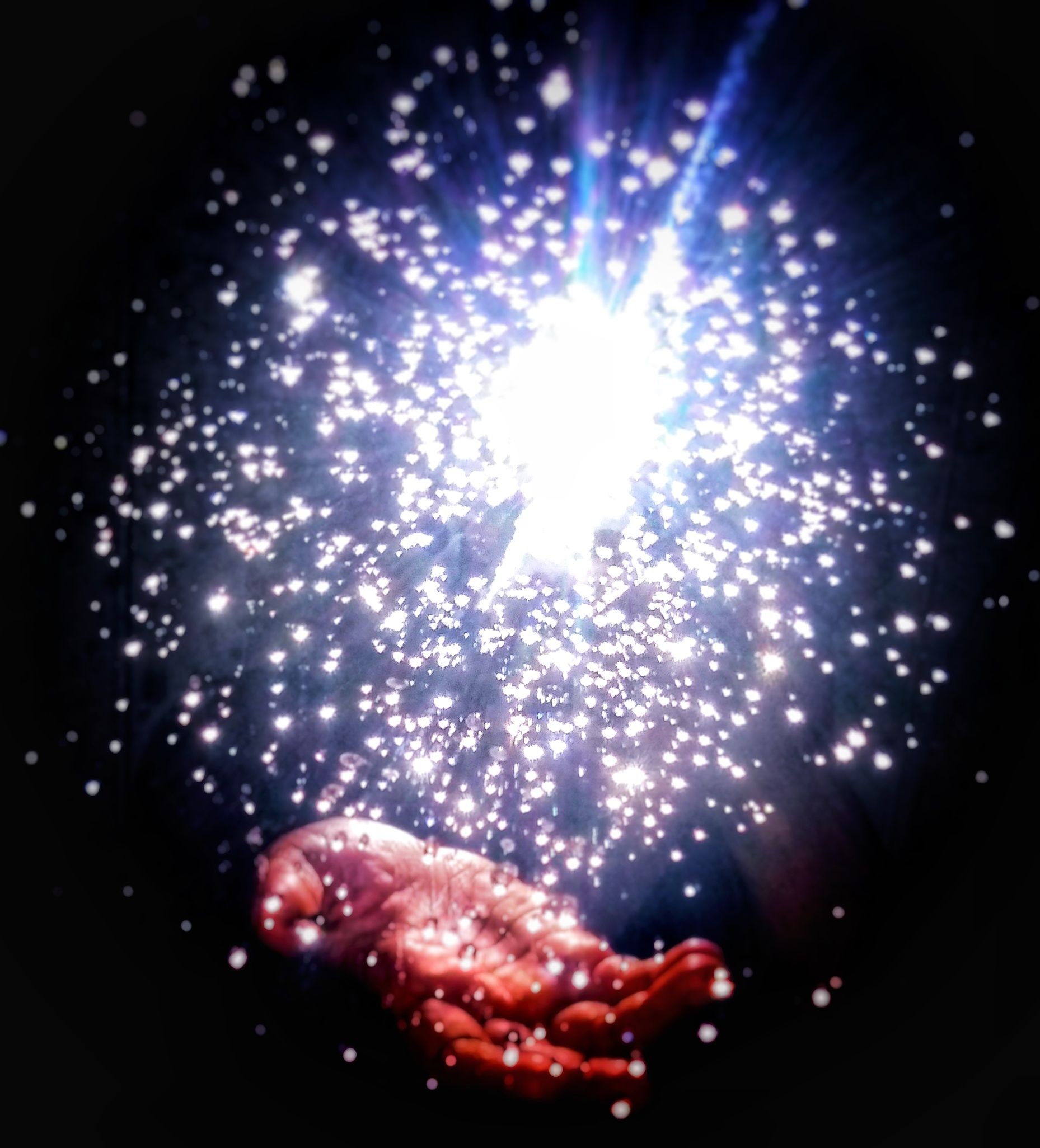 will shine